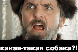 Чота ржу, коллеги