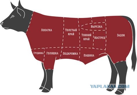 На Бали от истощения умерла женщина из Польши