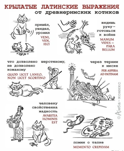 К котовторнику: подборка картинок-баянов с котиками и про котиков. Выпуск 27.