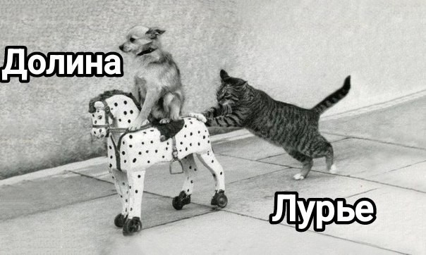 Мосгорсуд постановил немедленно выселить Ларису Долину из квартиры, которую она продала Лурье