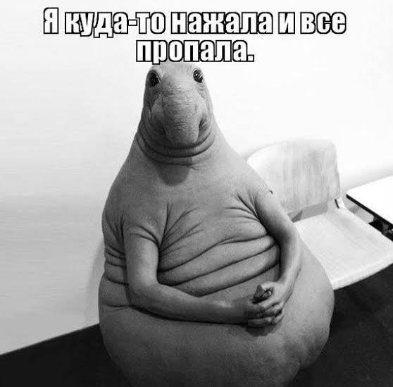 Мессенджер Макс