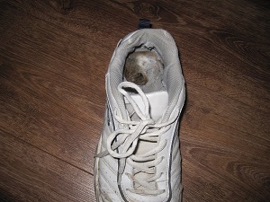 Идеальные охотники