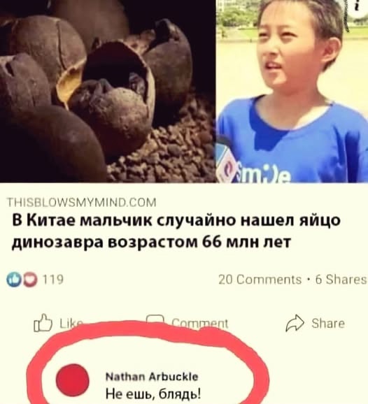Ученые разбудили червя, пролежавшего 46 тысяч лет в мерзлоте