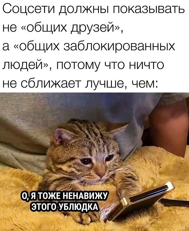 Картиночки, баянчики 15 июня