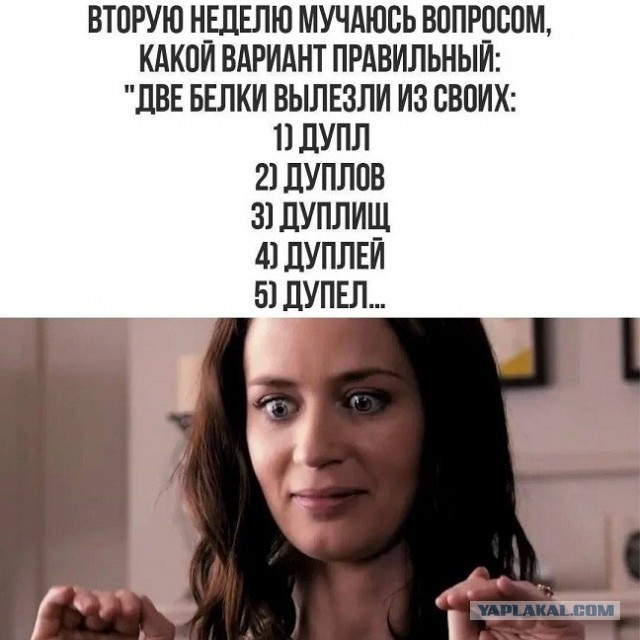 Картинки для деградации 233 (разной степени свежести)