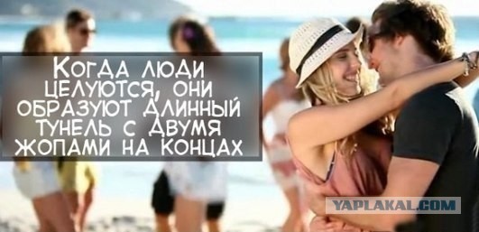 Аккордеоны