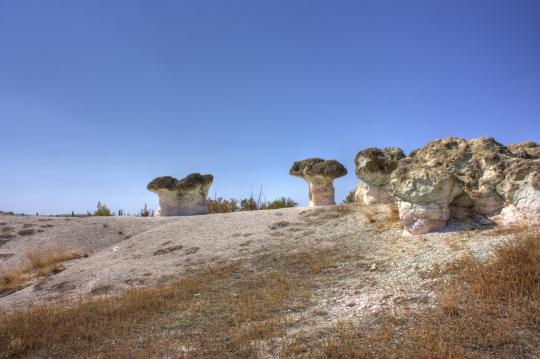 Каменные грибочки после каменного дождика?