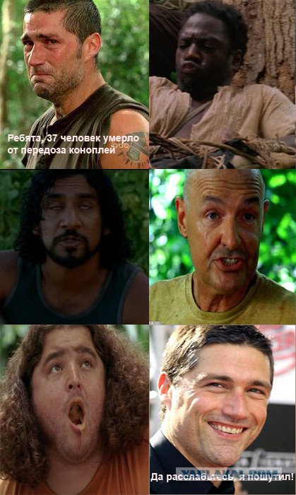 "37 человек умерло от передоза коноплей"