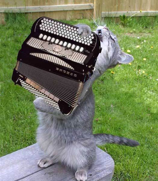 Где деньги?