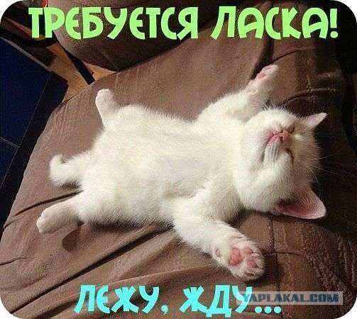 Как сподвигнуть мужчину на куннилингус