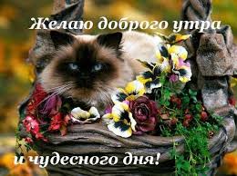 Чёрт, чёрт, чёрт!