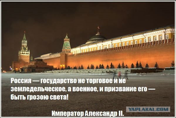 Утро в сосновом бору