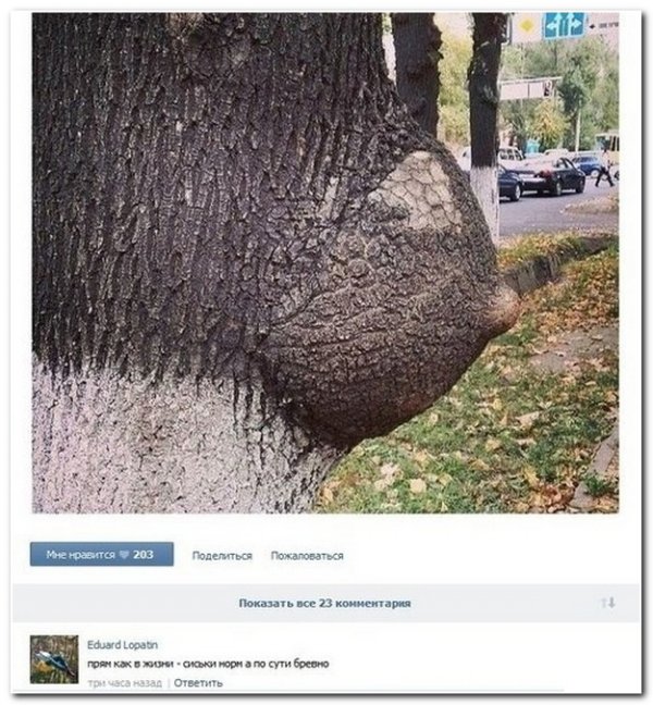 Моя подборка веселенькой мути