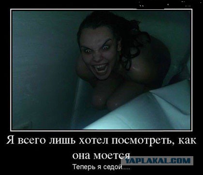 Весёлое из сети