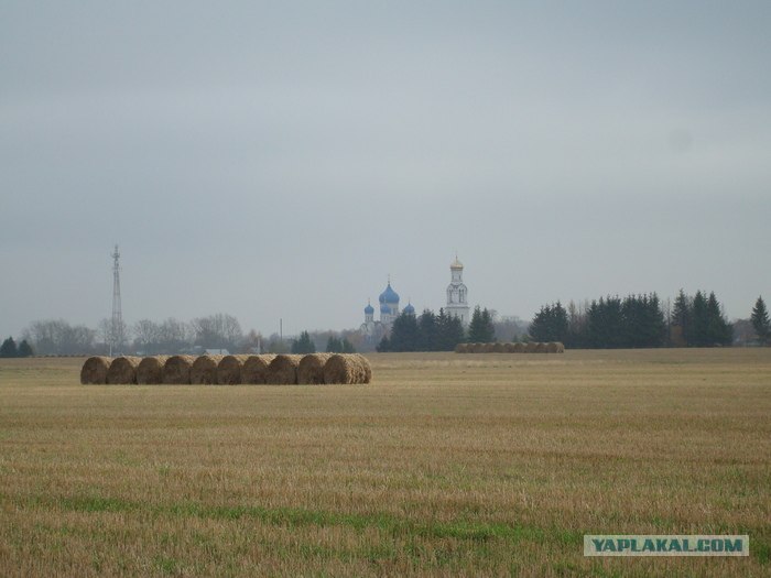 Поле рогачево. Коп в рогачево. Рогачево поле чудес. Рогачево поле чудес на карте. Снт поле чудес тюмень на карте.