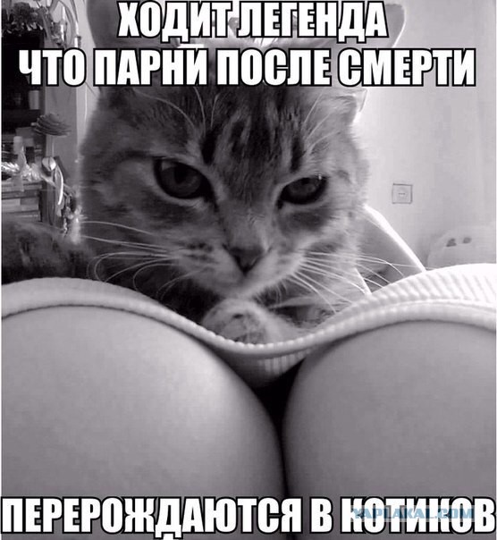 Картинки из этих ваших интернетов