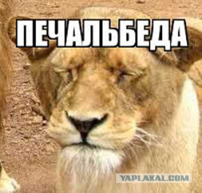Чемпионат Мира по хоккею 2015 часть 3
