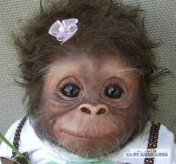 Визуализируем свои ники!