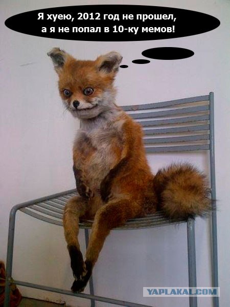 ТОП-10 самых популярных интернет-мемов 2012 года