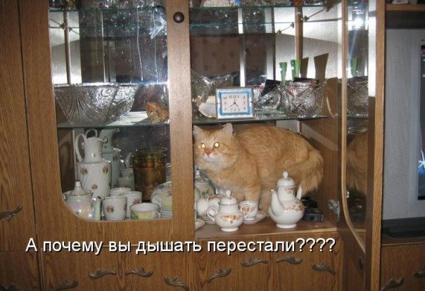 Лента анекдотов на среду 5.08.2015