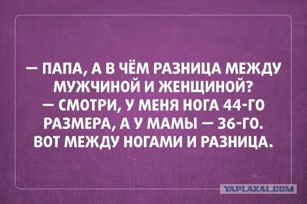 Картинки