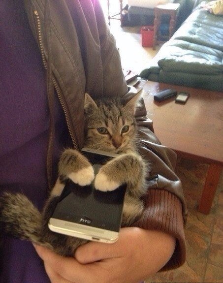 А давайте улыбнёмся В Новом Году