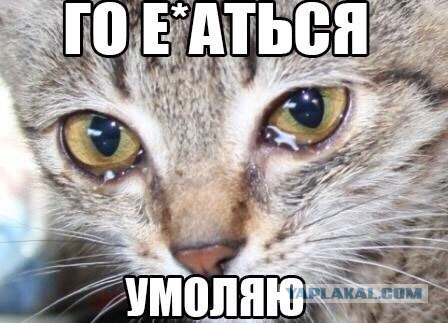Абсурдный юмор