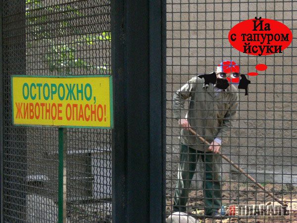 ВЫВЕСКИ, ТАБЛИЧКИ. Смешные и прикольные