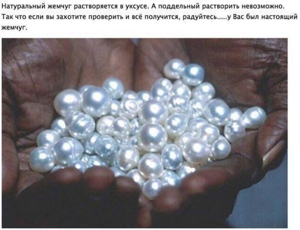 Забавные картинки из Сети