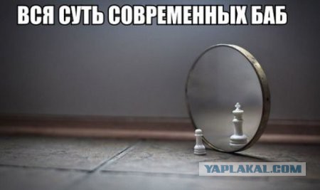 Картинки из сети
