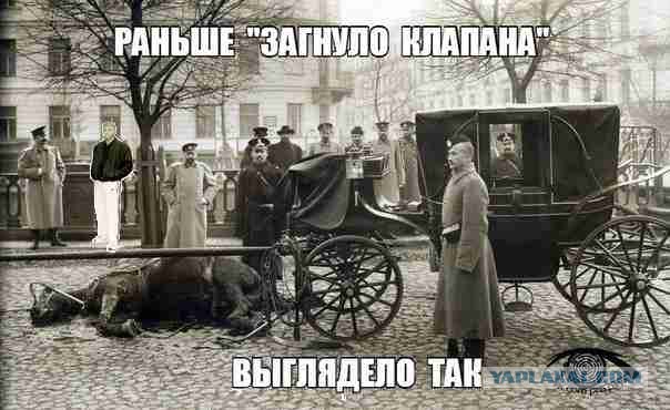Подборка интересных и веселых картинок