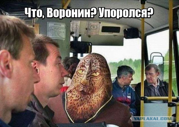 Юмор не для всех