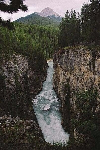 Картинки для отдыха глаз
