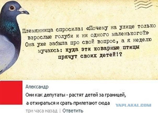 Сбитый пиксель (местами +16).