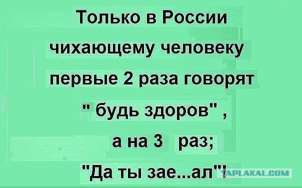 Прикольные картинки 12.06.2017