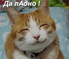 Девушка у окна