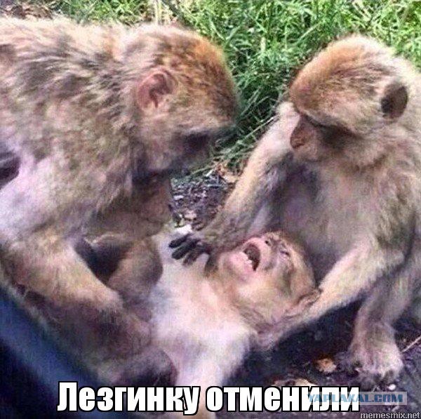 Лезгинка запрещена: Казаки и полиция скрутили танцора лезгинки в Геленджике