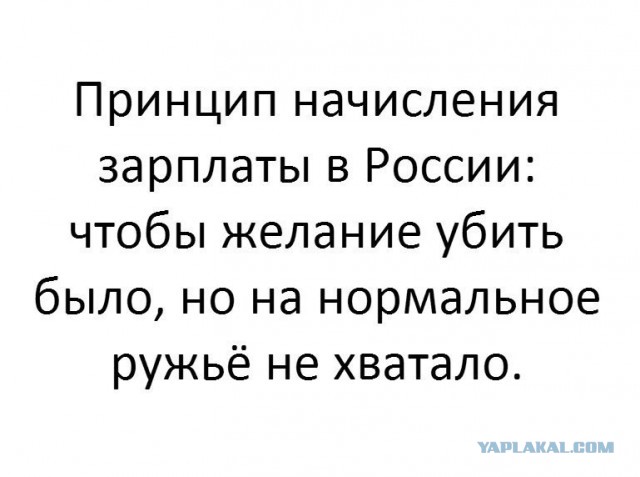 Где моё ружьё?!
