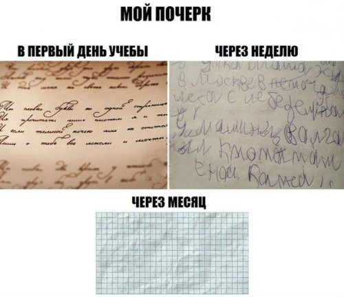 Подборка прикольных картинок на среду
