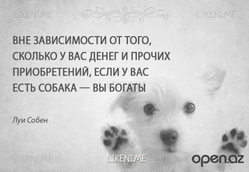 Пёс