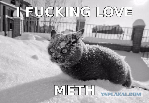 Лавров: США готовят Европу к применению ядерного оружия против России‍