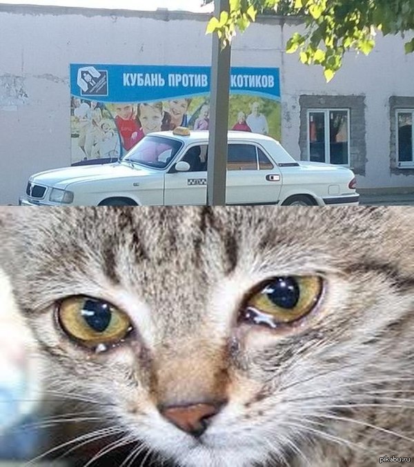 Делай правильный выбор
