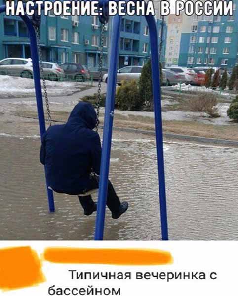 Приколы в картинках или прикольные картинки?
