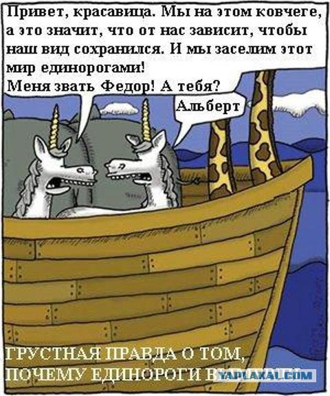 Плотник-любитель построил точную копию Ноева ковчега и плывёт на нём в Израиль