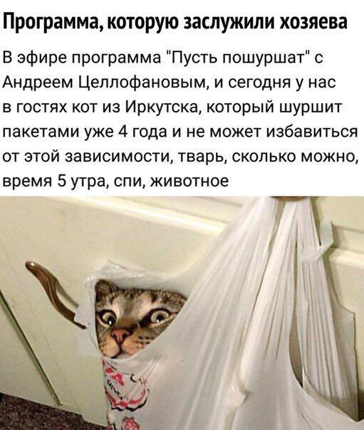 Картинки с надписями, истории и анекдоты