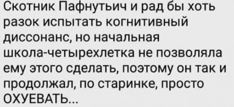 В московской бане из-за сухого льда в бассейне погибли три человека. Там отмечала день рождения инста-блогер Екатерина Диденко
