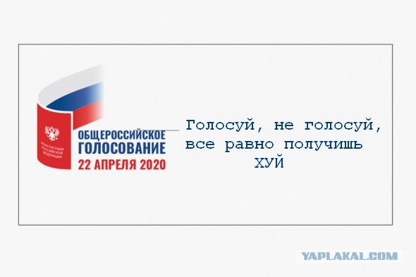 ЦИК выбрал слоган и логотип голосования по поправкам в Конституцию