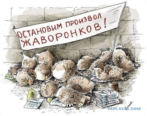 Чтожэто делается, товарищи дорогие! Бабы совсем мужикам жизни не дают!
