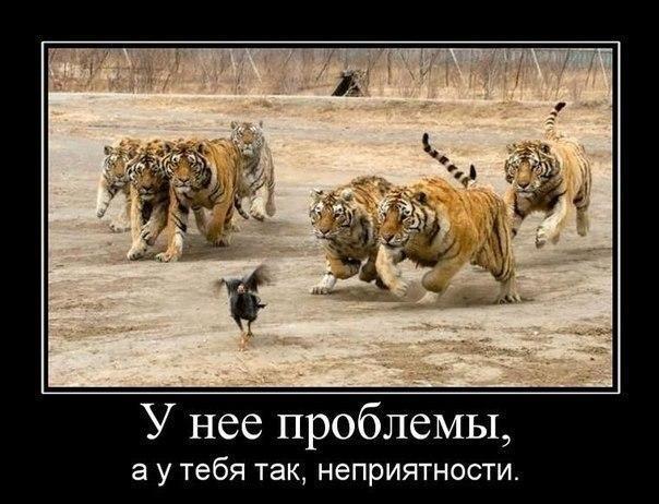 Так себе картинки 18.05.20