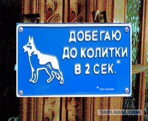 Политическая нецензурщина